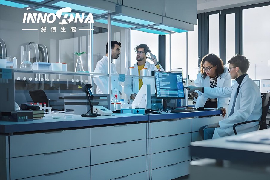 大湾区mRNA药企深信生物拟赴港IPO：LNP-mRNA平台发力，多款疫苗及体内CAR-T前景可期