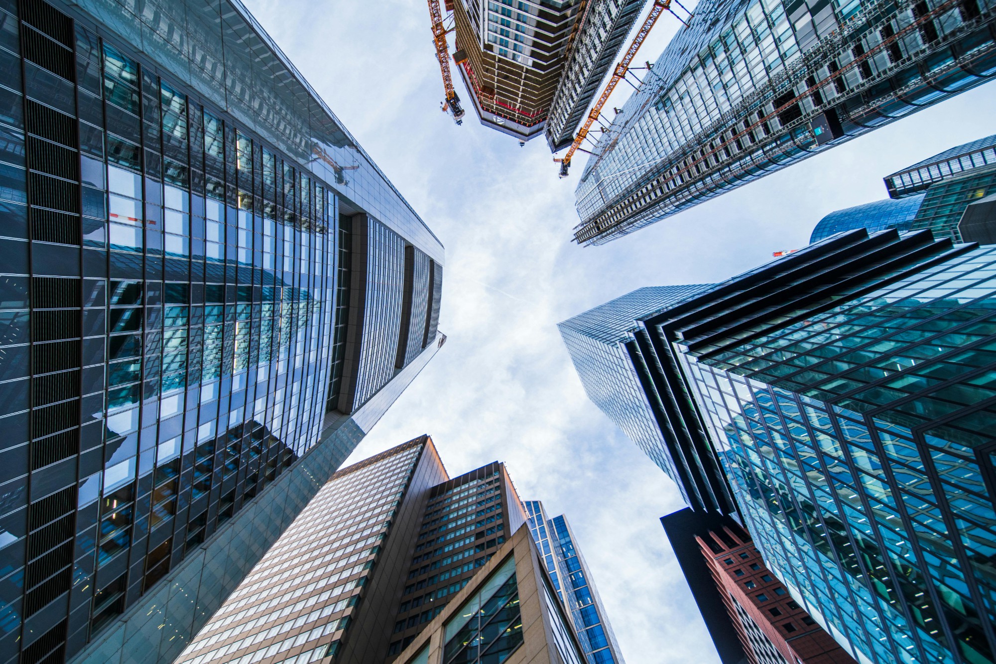 2025医疗器械行业三季报洞察：毛利率净利率对比、业务分布与业绩机遇