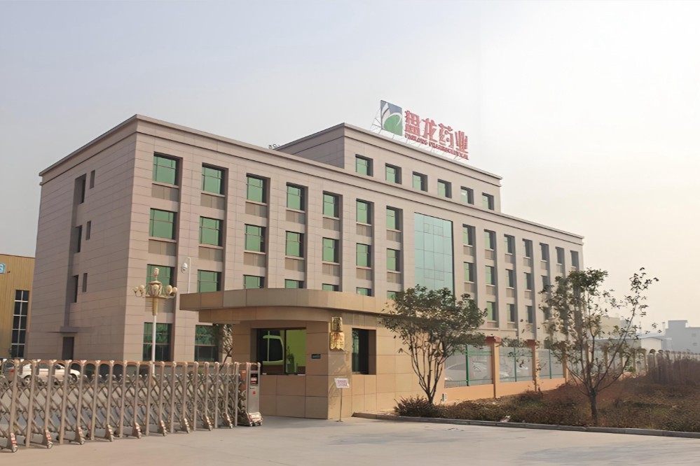 盘龙药业两日涨停！盘龙七凝胶贴膏获批，或强化风湿骨病布局