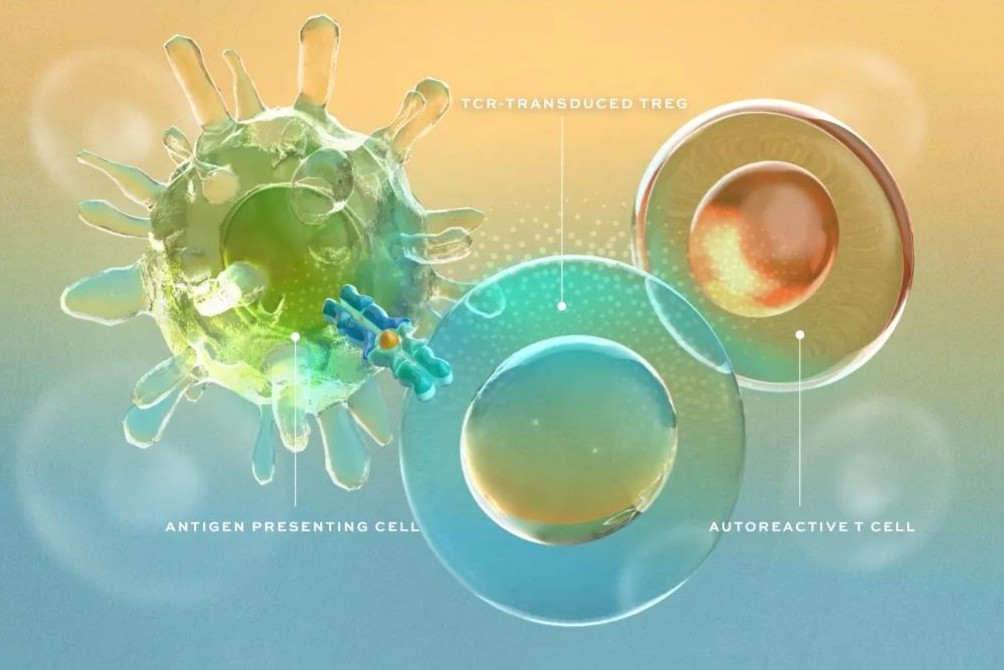 Third Rock孵化Tregs新锐完成9500万美元A轮融资