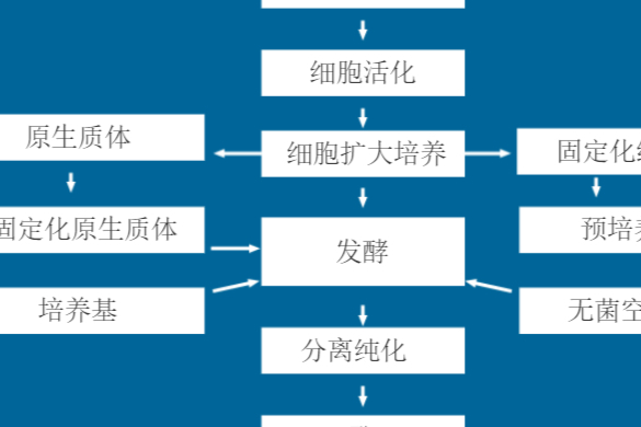 API Hot：浅谈发酵法制酶和生产原料药注册要点