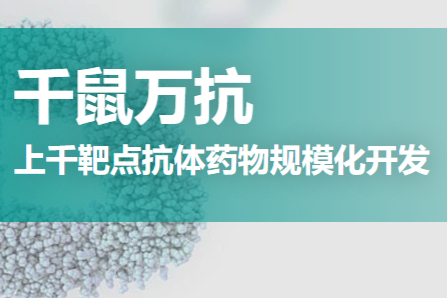热门细分赛道：延伸的模式动物服务CXO进化中