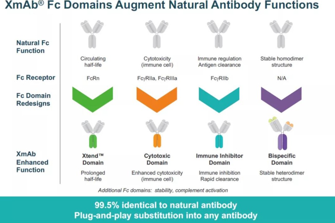 诺诚健华3500万美元首付款引进Incyte CD19抗体!多款新药陆续发力|深耕肿瘤免疫