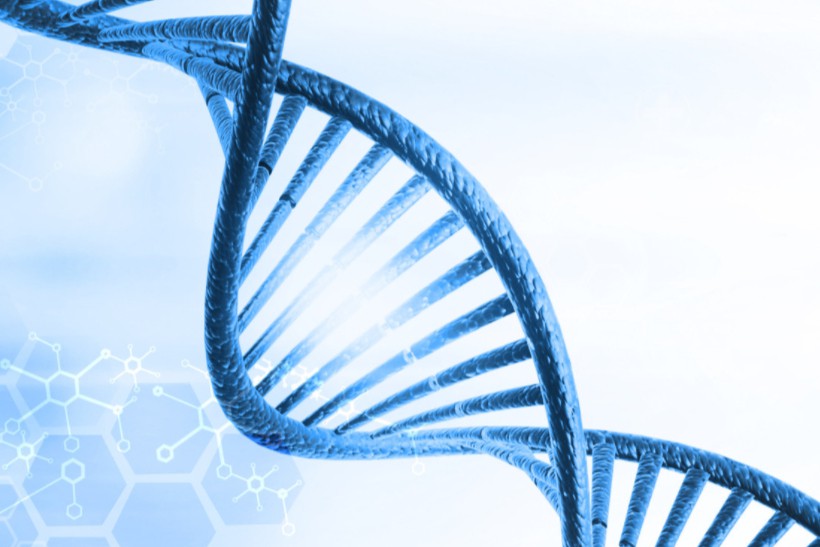CDMO选择指南-CGT公司篇