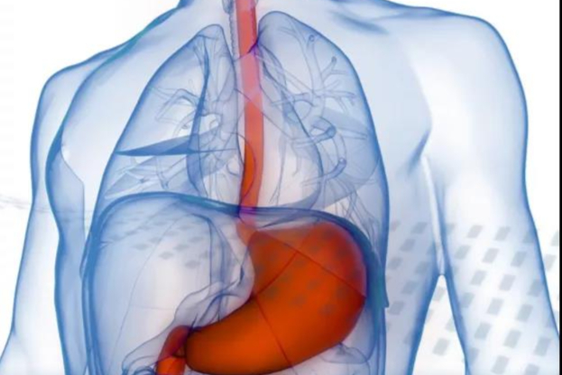 开发III期临床胃病新药|6000万美元B轮融资