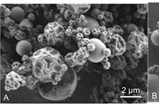 喷雾干燥技术在干粉吸入领域的应用
