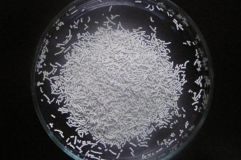 固体分散技术深度解析|您知多少？