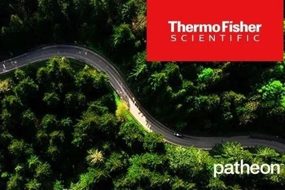 简化 API 开发 4 步法