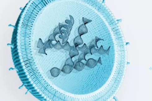 新锐！下一代非病毒基因疗法完成6100万美元A轮融资