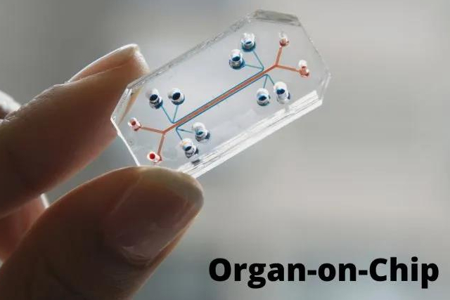 重磅！器官芯片公司Emulate完成8200万美元E轮融资