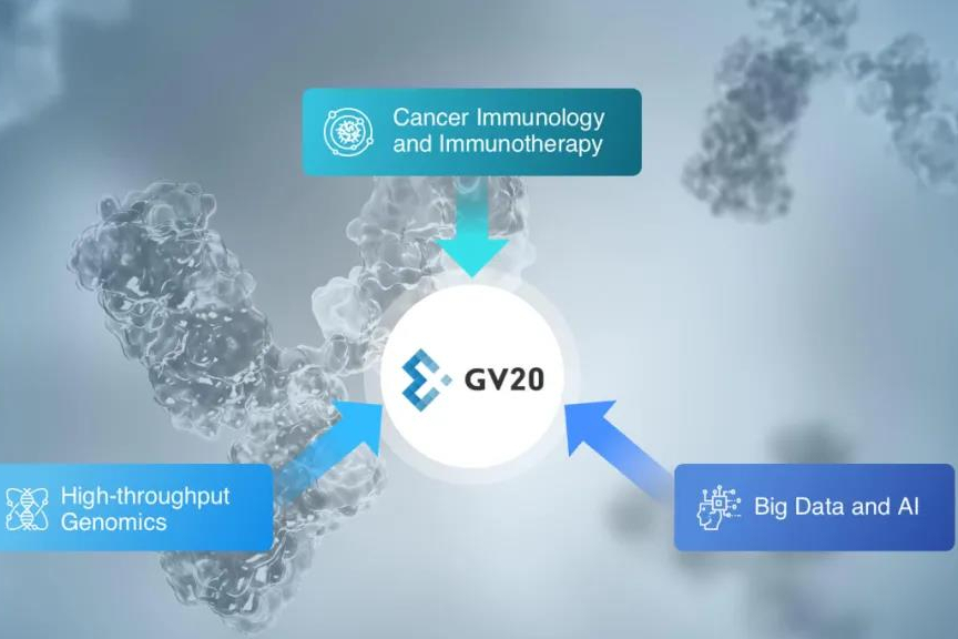 AI抗体！寻百会生物完成B轮融资，刘小乐教授联合创立
