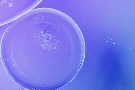 临床研究云平台Medable完成3.04亿美元D轮融资，估值达21亿美元