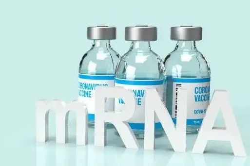 mRNA平台ReCode Therapeutics完成8000万美元B轮融资