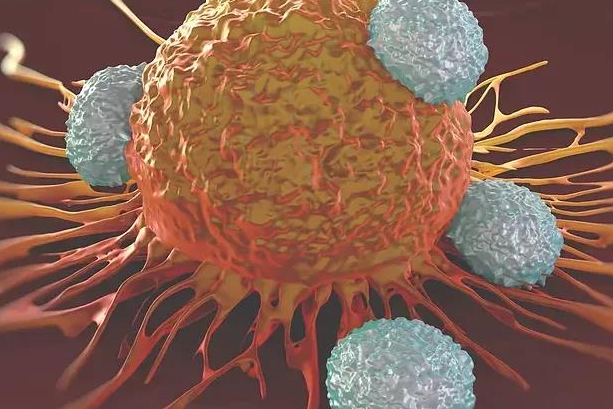 下一代细胞治疗Leucid Bio完成1600万美元A轮融资