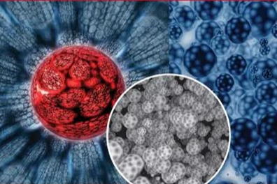 活性分子的微囊化技术及其给药系统（二）-物理表征手段