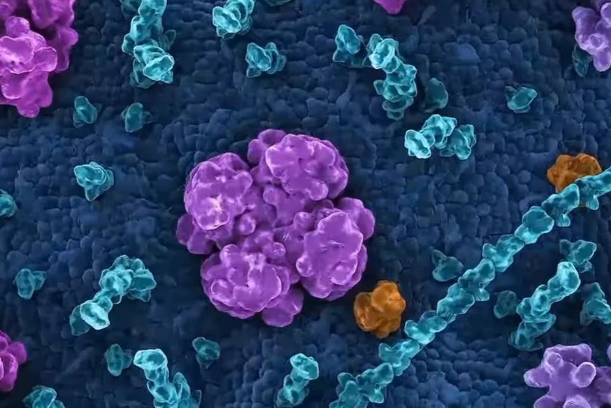 新锐！AI新药Generate Biomedicines完成3.7亿美元B轮融资