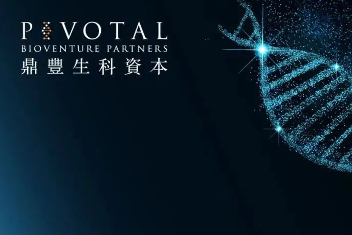 鼎丰生科资本领投成立合资公司SanReno Therapeutics，进军肾科领域