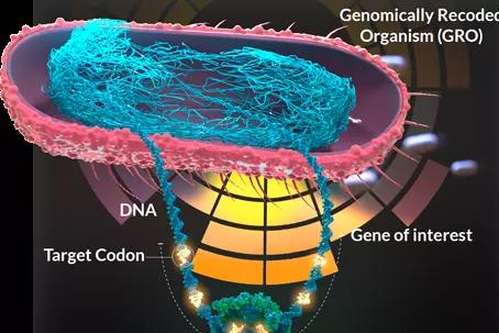 GRO Biosciences完成2500万美元A轮融资