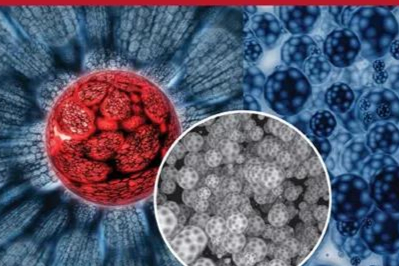 活性分子的微囊化技术及其给药系统（三）-自乳化