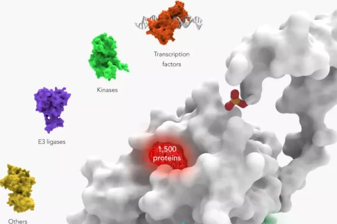 变构药物平台：HotSpot Therapeutics完成1亿美元C轮融资