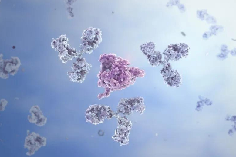 Nabla Bio获1100万美元种子轮融资，用于AI新药研发！