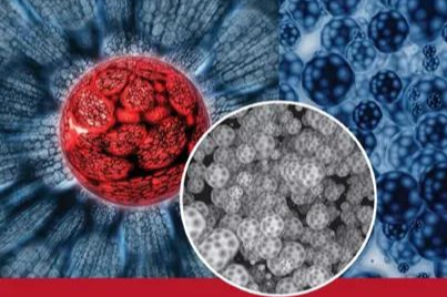 活性分子的微囊化技术及其给药系统（四）-磁性纳米粒