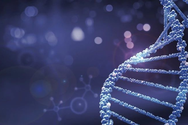 基石药业舒格利单抗获批上市！国产第2款PD-L1单抗!