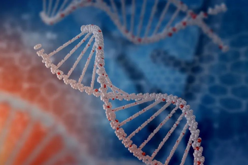 新冠病毒SARS-CoV-2：药物作用靶点一览！