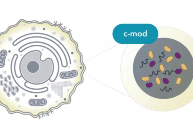 Dewpoint Therapeutics完成1.5亿美元C轮融资