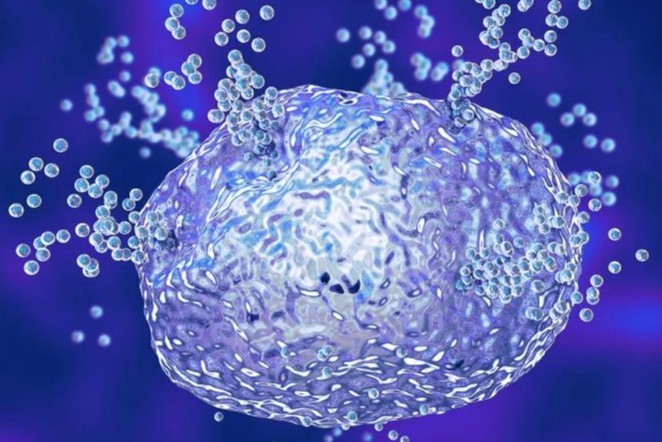 Third Harmonic Bio完成1.05亿美元B轮融资，开发过敏和炎症新药