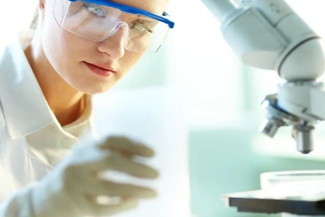 双组分颗粒系统开发的浅见