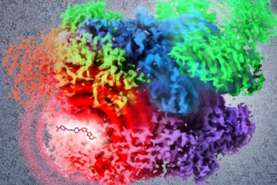 冷冻电镜+AI！Gandeeva Therapeutics完成4000万美元A轮融资