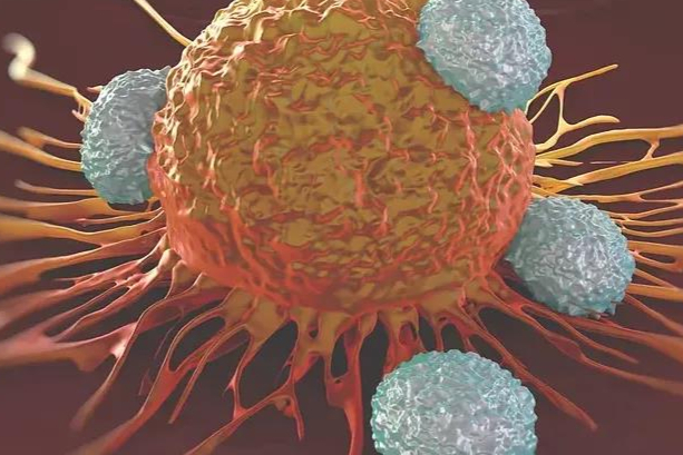 Epsilogen完成4120万美元B轮融资