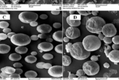 喷雾冷冻干燥技术简介