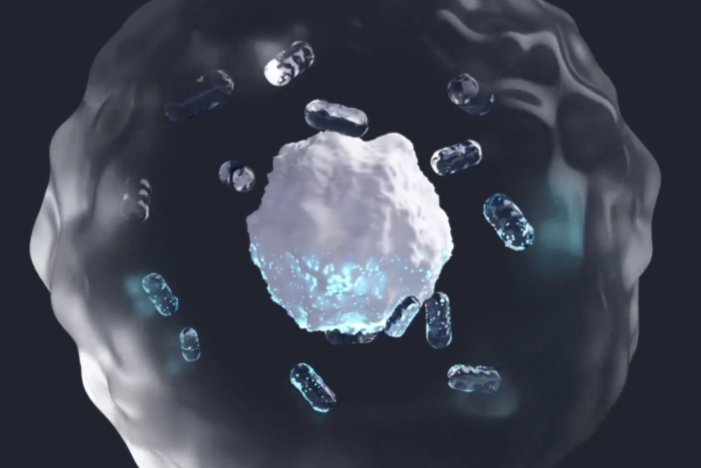 AI驱动的单细胞分析平台Deepcell完成7300万美元B轮融资