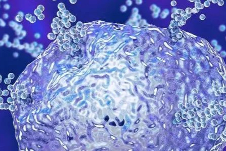 Celsius Therapeutics完成8300万美元融资，推进TREM1抗体开发