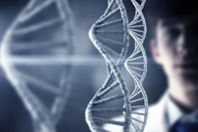 有关物质分析方验法证原则（二)