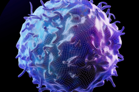 B细胞药物公司Be Biopharma完成1.3亿美元B轮融资