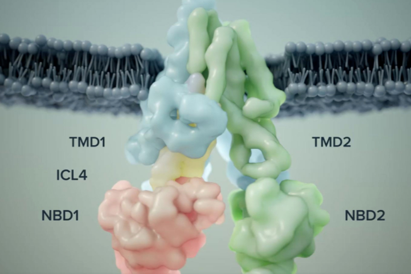 开发囊性纤维化新药，Sionna Therapeutics完成1.11亿美元B轮融资