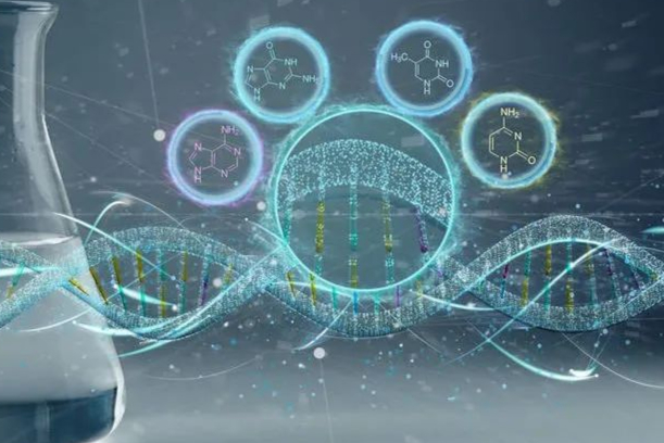 AAV基因治疗火热，CMC是重点！浅谈AAV生产制备中空壳率检测方法