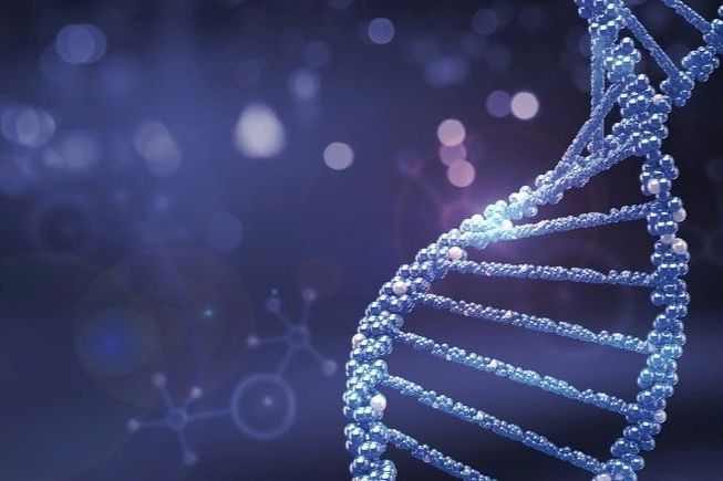 CTLA-4单抗研发现状！难产十八年，阿斯利康终获FDA优先审查