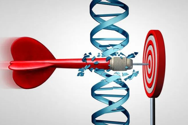 CRISPR基因编辑技术先驱创立，Mammoth成为独角兽