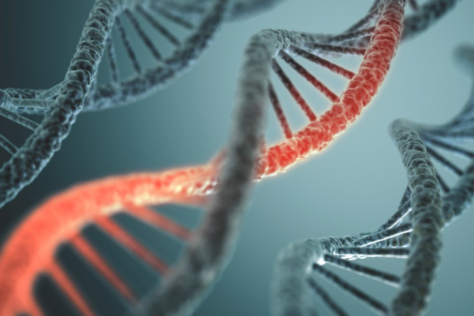 “万能钥匙”mRNA合成|全自动体外转录（IVT）反应平台