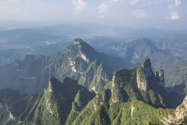 小分子药物&基因治疗，PTC Therapeutics专注罕见病创新疗法