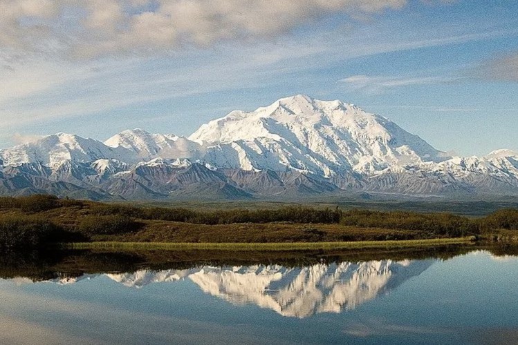 神经退行性疾病深耕者：Denali Therapeutics勇攀“险峰”，跨越血脑屏障