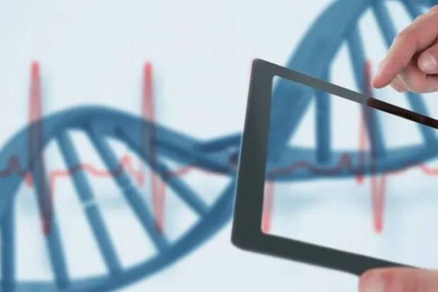 本导基因：两大递送技术平台国际领先！目标成为基因治疗先导企业