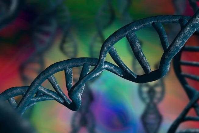 乙肝病毒X蛋白降解新机制：抑制VCPIP1可显著降低HBx水平