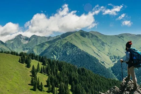 CXO赛道：维亚生物稳控CRO基本盘，再打+CDMO组合拳