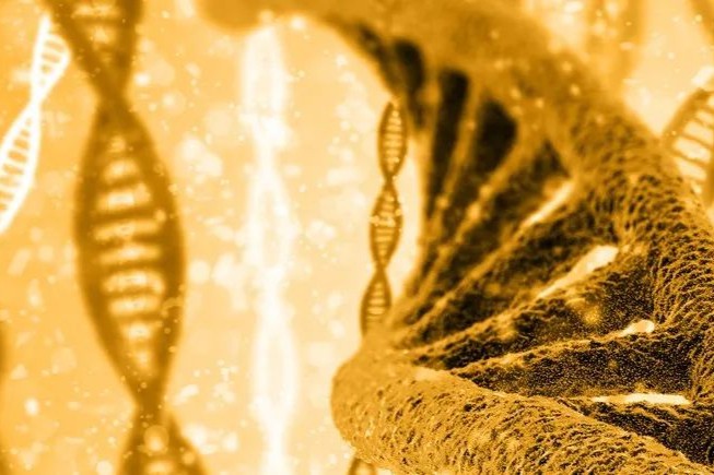 博生吉管线梳理！突破免疫治疗肿瘤细胞，多个产品进入POC临床验证