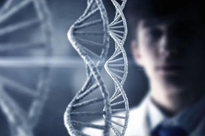 波睿达生物管线梳理！血液肿瘤CAR-T产品卓有成效，临床疗效优于国际